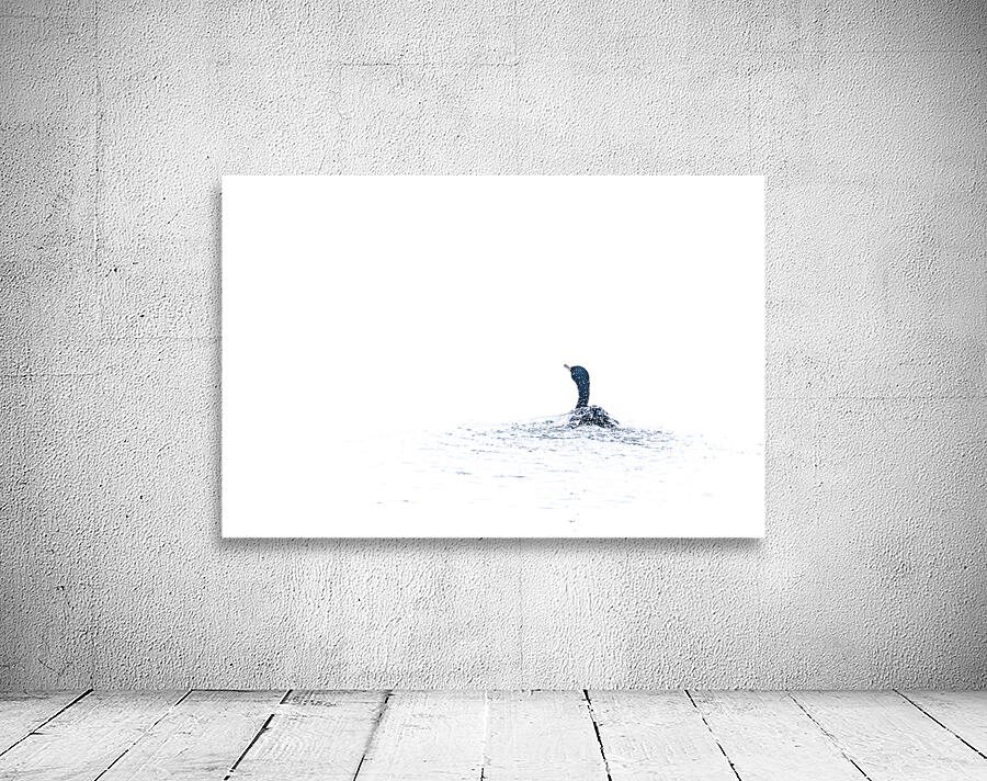 Cormorant VII Wall Preview