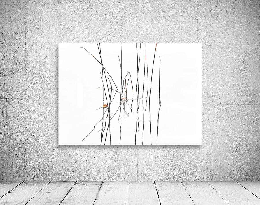 Life Lines III Wall Preview