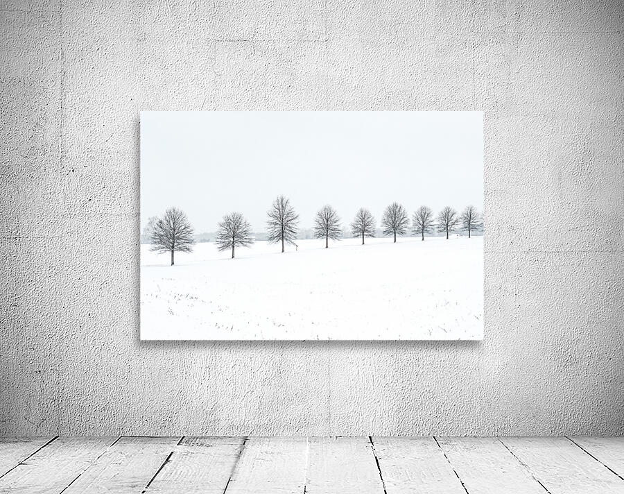 Tree Line Wall Preview