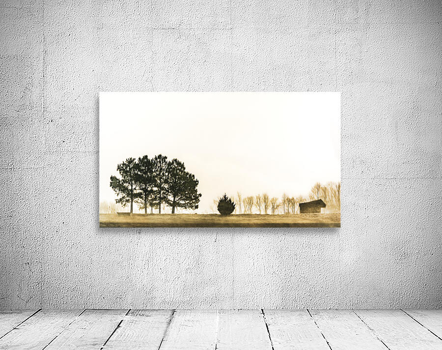 Winter Mists Reflected Wall Preview