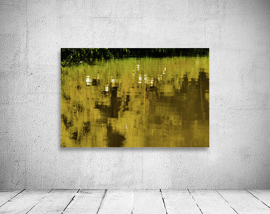 River Hibiscus Wall Preview
