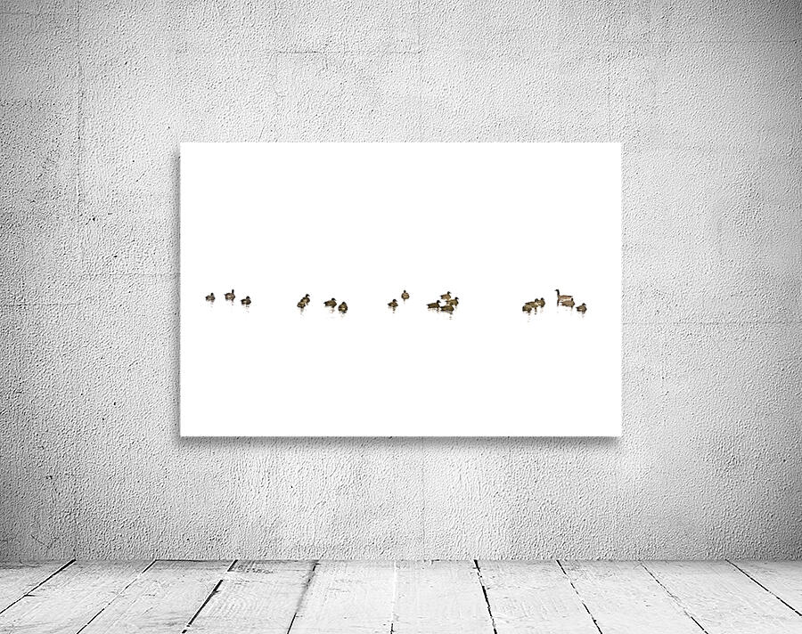River Geese Wall Preview