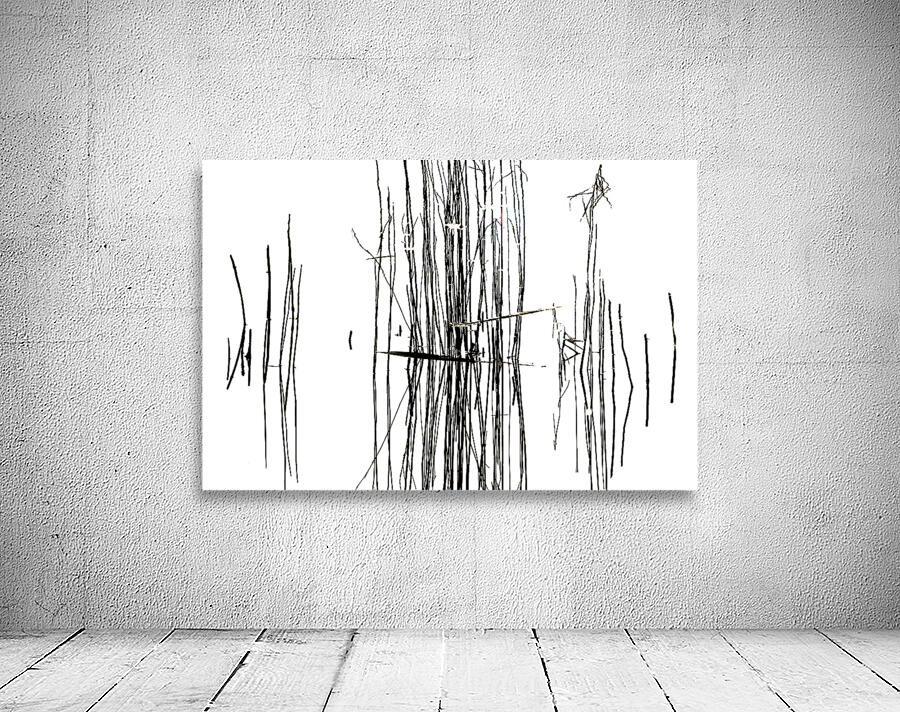 Life Lines Wall Preview
