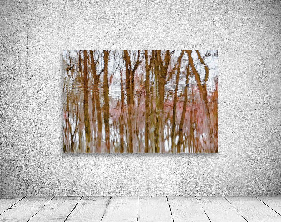 Finding the Forest through the Trees Wall Preview
