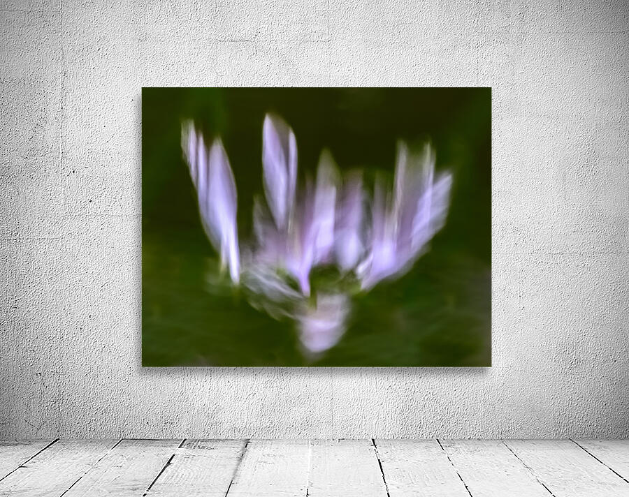 Hosta Blooms III Wall Preview