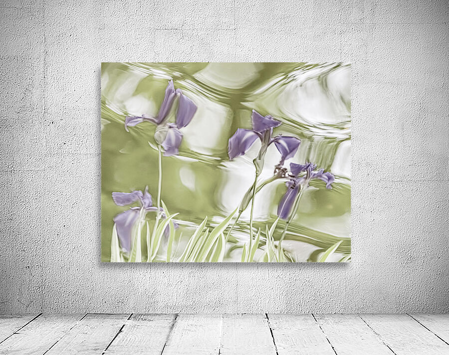Purple Iris V Wall Preview
