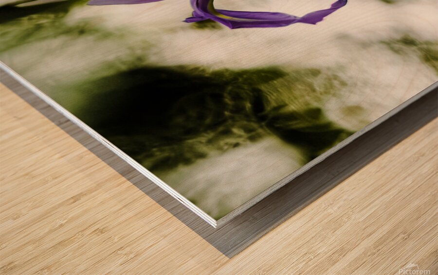 Purple Iris Wood print