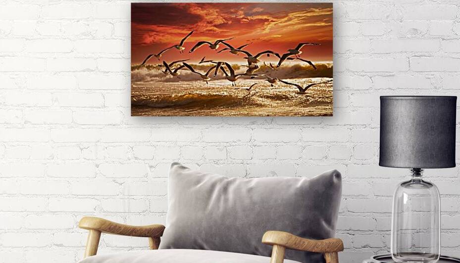 a stunning photograph of seagulls gracefully soar by Hidden codes