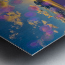 Mimosa Sky 2 Metal print