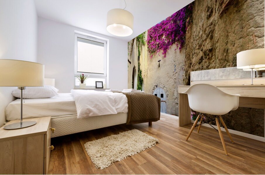 Ischia 1 Mural print