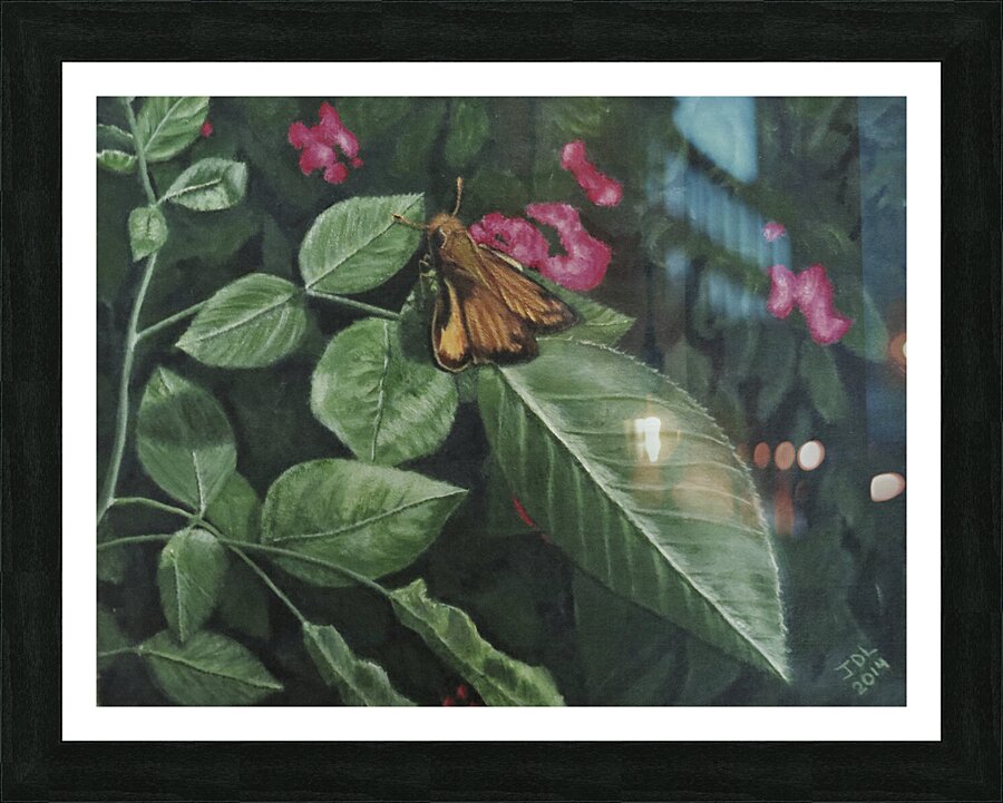 zabulon skipper Picture Frame print