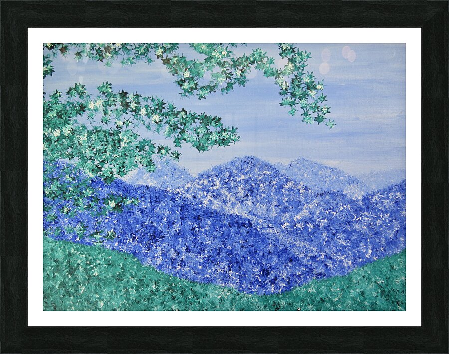 Skyline Drive Picture Frame print