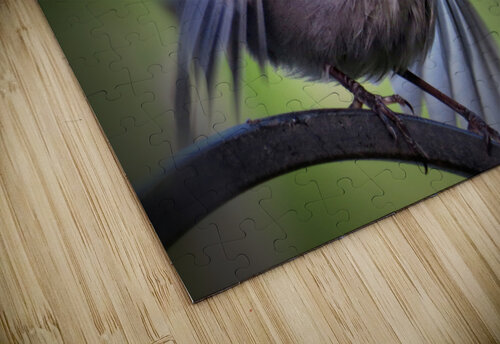 About to Take Flight  Jodi DiLiberto  puzzle