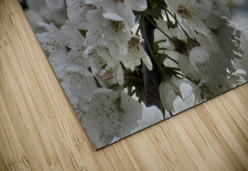 Blackberry Blossoms  Jodi DiLiberto  puzzle