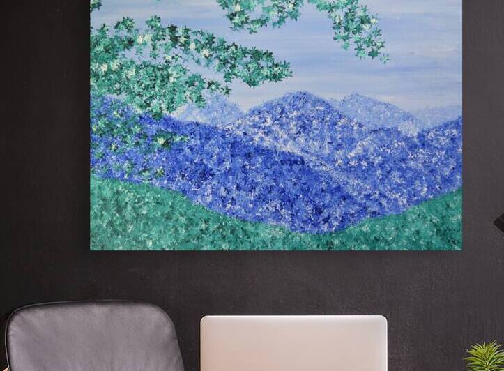 Skyline Drive by Jodi DiLiberto 