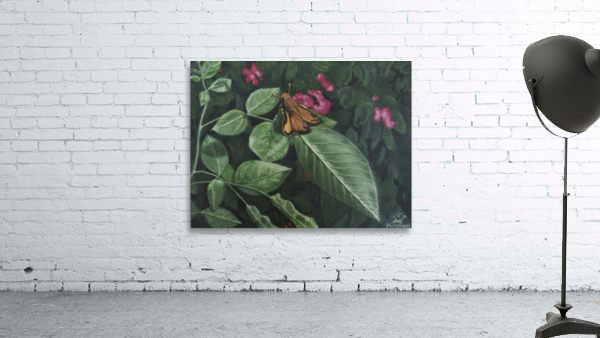 zabulon skipper Wall Preview
