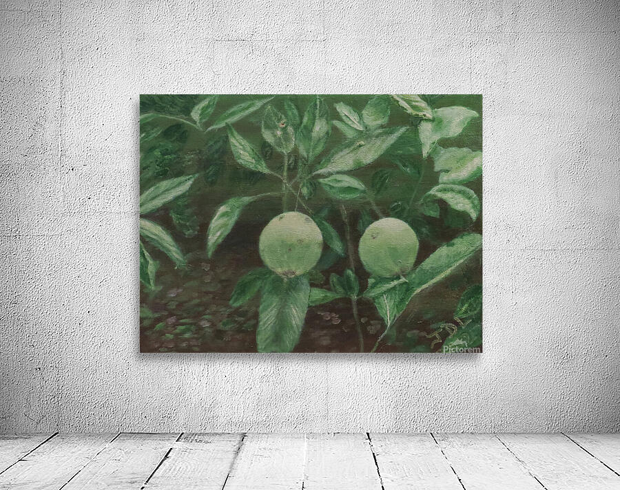 Apples Wall Preview