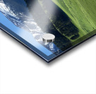 flying d spring grazing 90x30 print Acrylic print