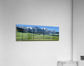 flying d spring grazing 90x30 print Acrylic Print