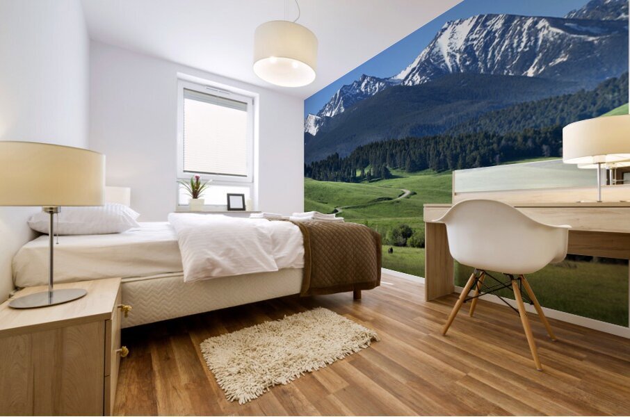 flying d spring grazing 90x30 print Mural print