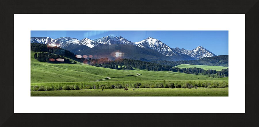 flying d spring grazing 90x30 print Picture Frame print