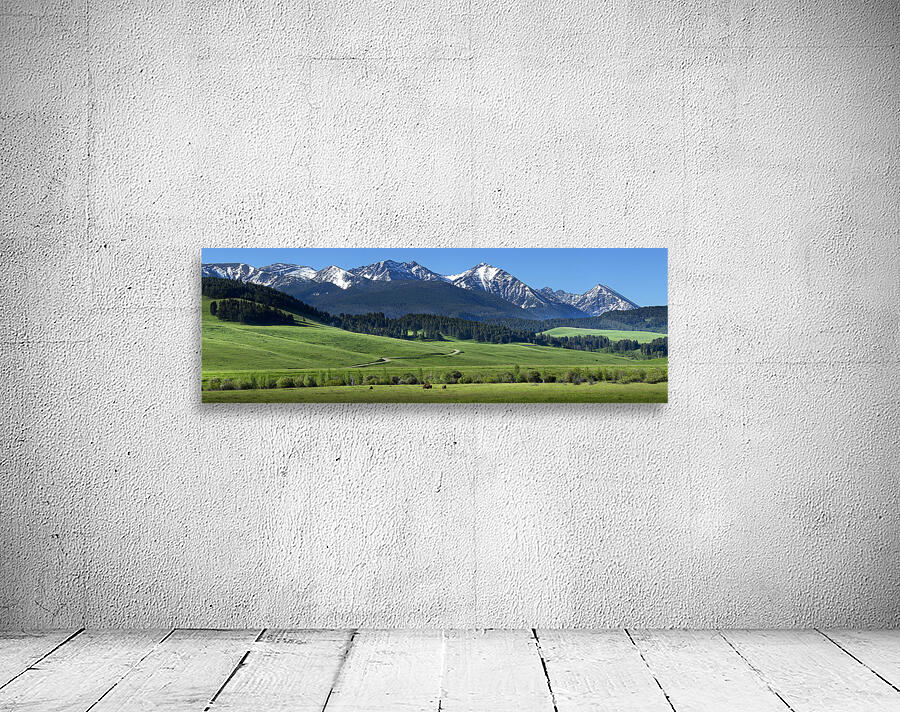 flying d spring grazing 90x30 print Wall Preview
