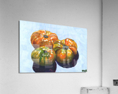 Dads Tomatoes Acrylic Print