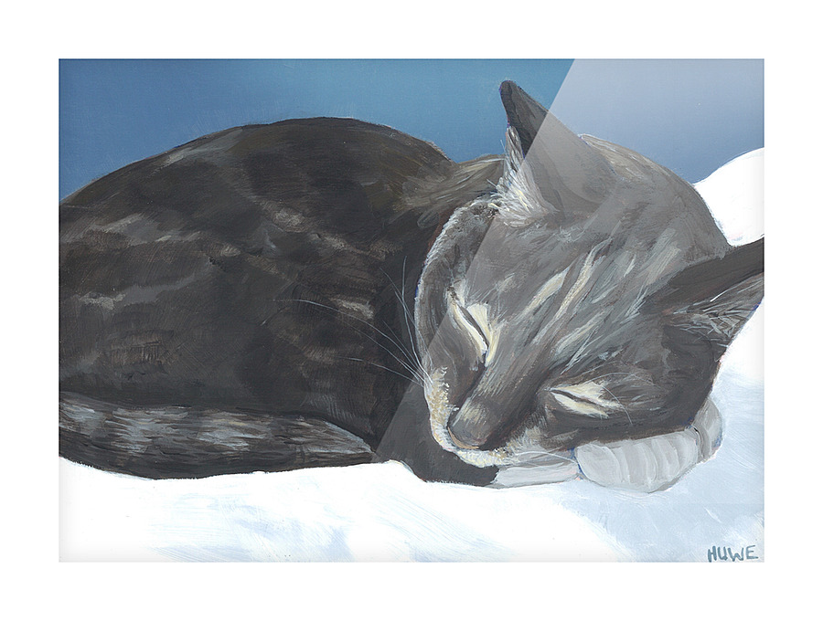 Sleeping cat Picture Frame print