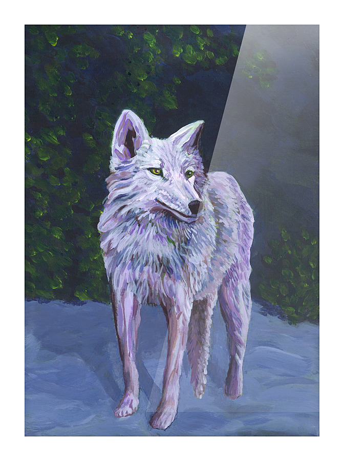 Fairy tale wolf Picture Frame print