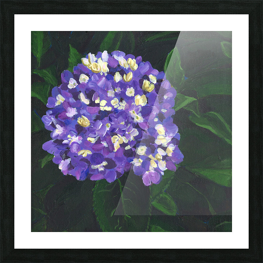 Purple hydrangea Picture Frame print