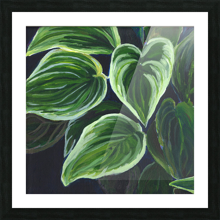 Hostas Picture Frame print
