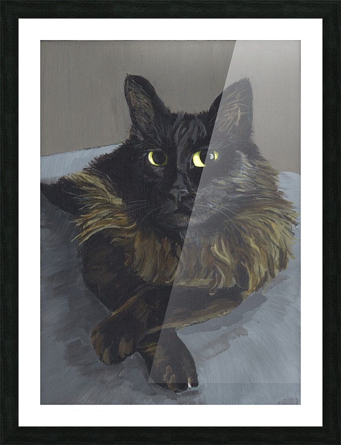 Thomas Picture Frame print