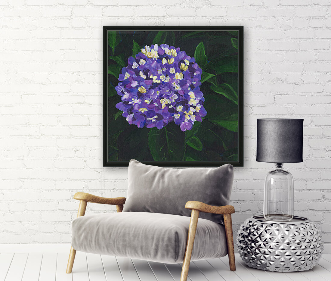 Purple hydrangea Reproduction