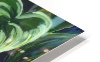 Hostas HD Metal print