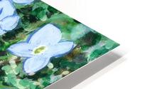 Bluets HD Metal print
