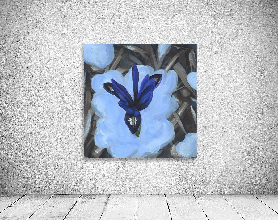 Iris in snow Wall Preview
