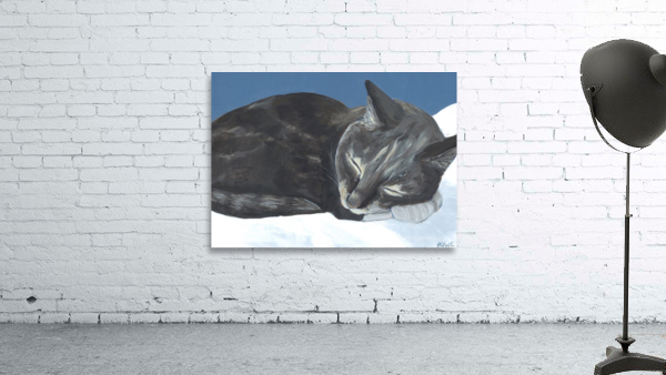 Sleeping cat Wall Preview
