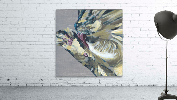 Lick Wall Preview