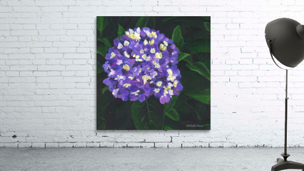 Purple hydrangea Wall Preview