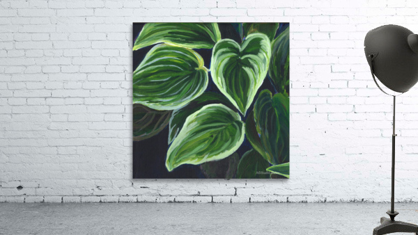 Hostas Wall Preview