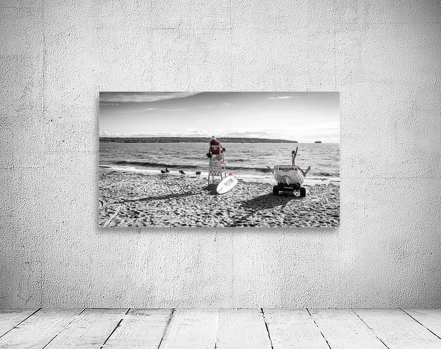 Lifeguard V.2 Wall Preview