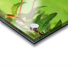 Fuschia red  green Acrylic print