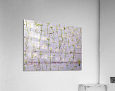 Flooded Rice field Acrylic Print