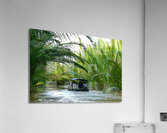 Mekong Acrylic Print