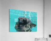 Bath bliss Acrylic Print