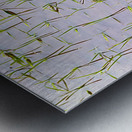 Flooded Rice field Metal print