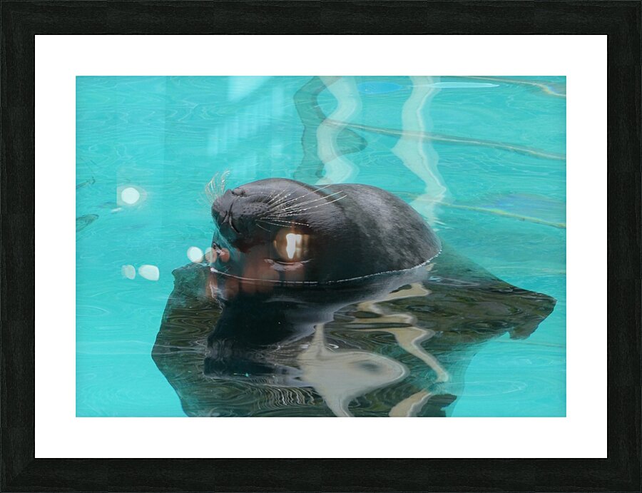 Bath bliss Picture Frame print