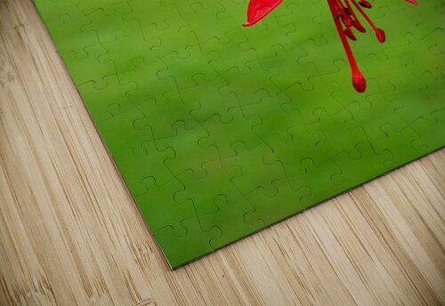 Fuschia red  green Titane puzzle