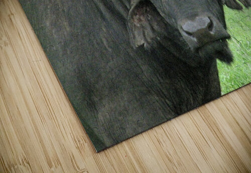 Buffalo Titane puzzle