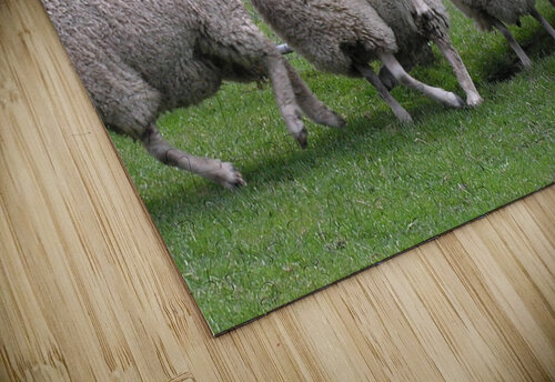me first Titane puzzle